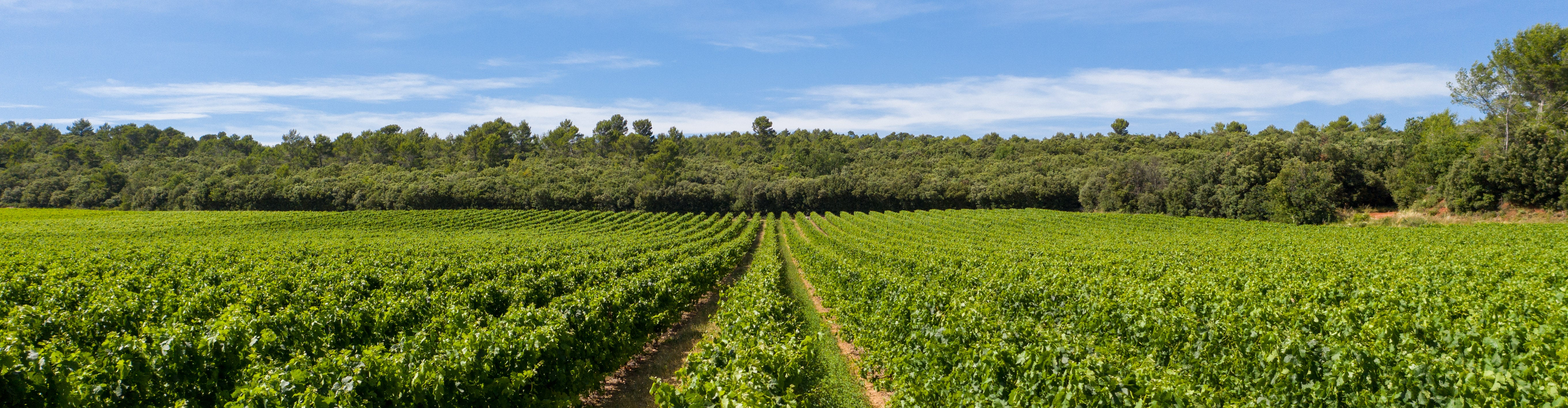 Terroir